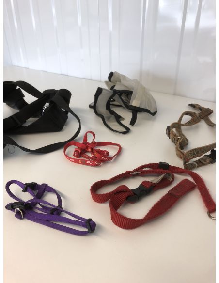 Harnais pour chiens et chats