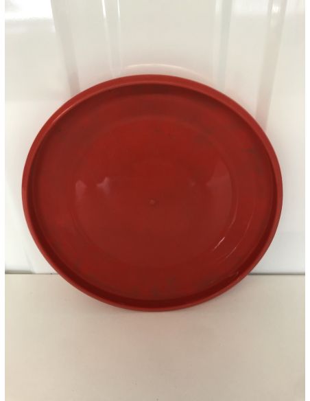 rode frisbee