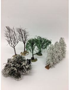 Veel bomen en sparren