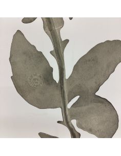 Rose en étain 2