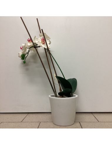 Plante artificielle - Orchidée