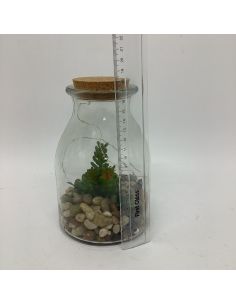 Pot en verre 2
