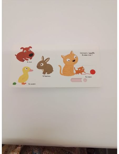 Kinderboek