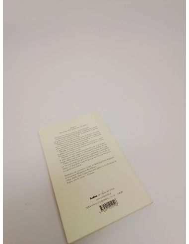 Boek: Wat ging hij in deze puinhoop...