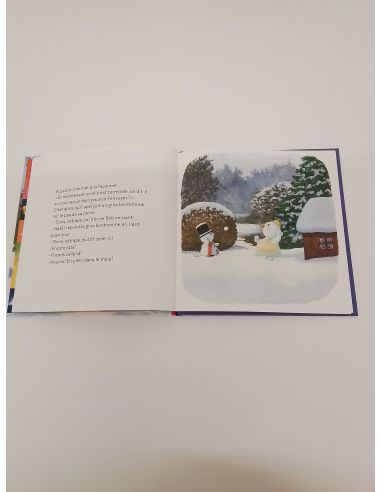 Boek: Bob de Sneeuwman