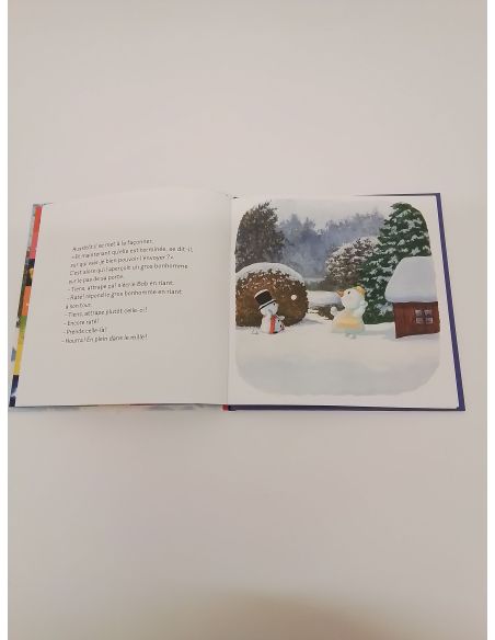 Boek: Bob de Sneeuwman