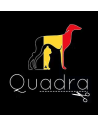 Quadra
